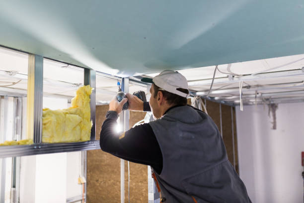 Best Fiberglass Insulation in Twin Grove, IL