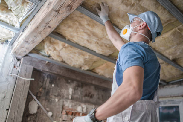 Types of Insulation We Offer in Twin Grove, IL